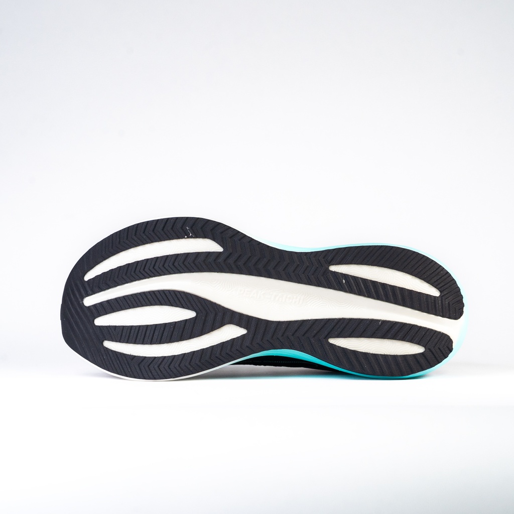 Peak Tiachi Sports Shoes Black